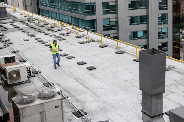 Best Storm Damage Roof Repair  in Diboll, TX