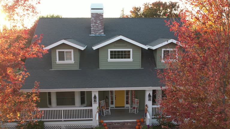 Best Steel Roofing  in Diboll, TX