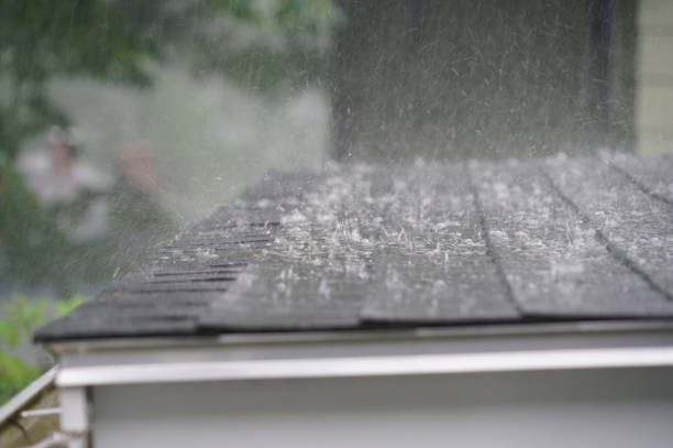 Best Solar Panel Roofing Installation  in Diboll, TX